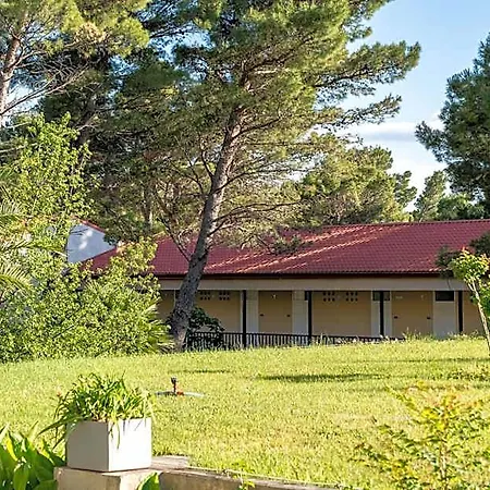Alemaris 3* Baška Voda